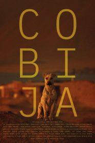 Cobija