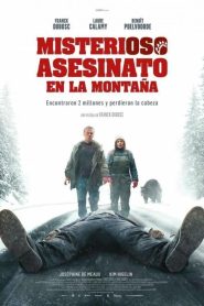 Un ours dans le Jura